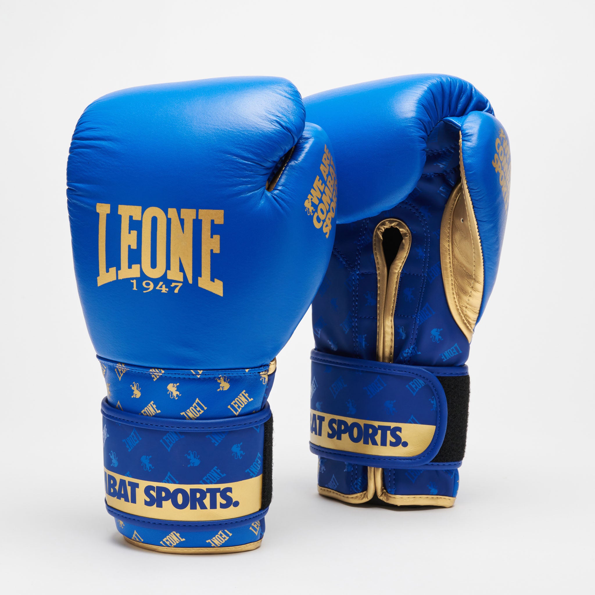GUANTI BOXE DNA