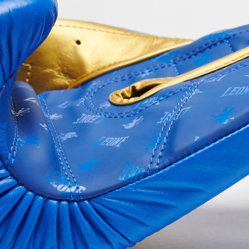 BOXING GLOVES DNA