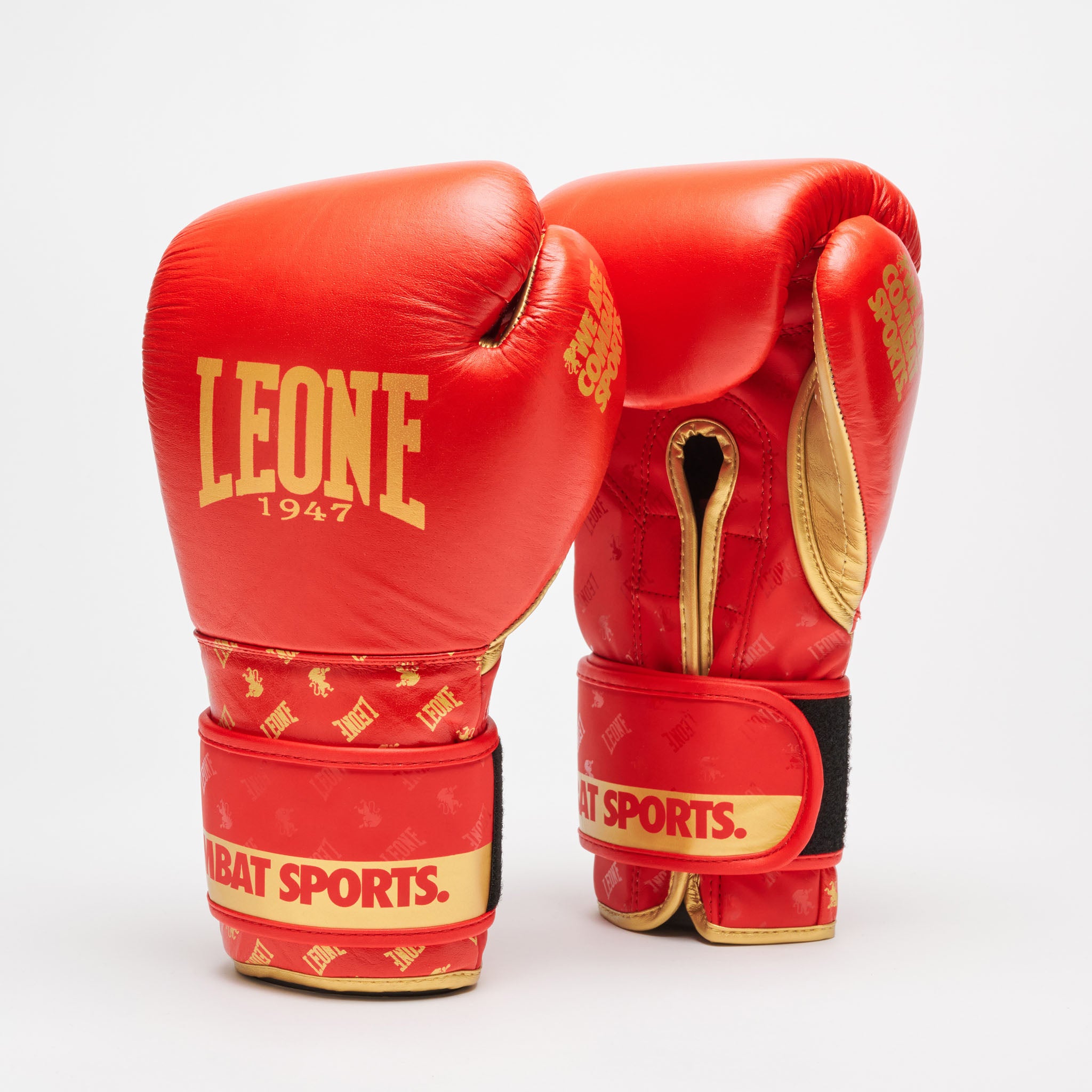 GUANTI BOXE DNA