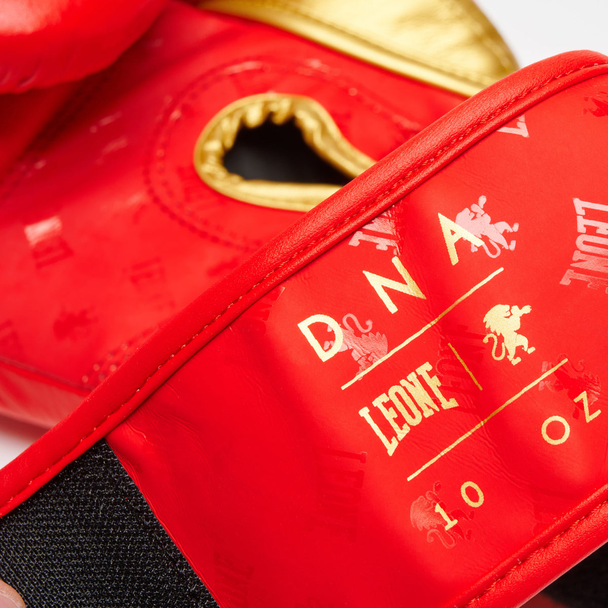 BOXING GLOVES DNA