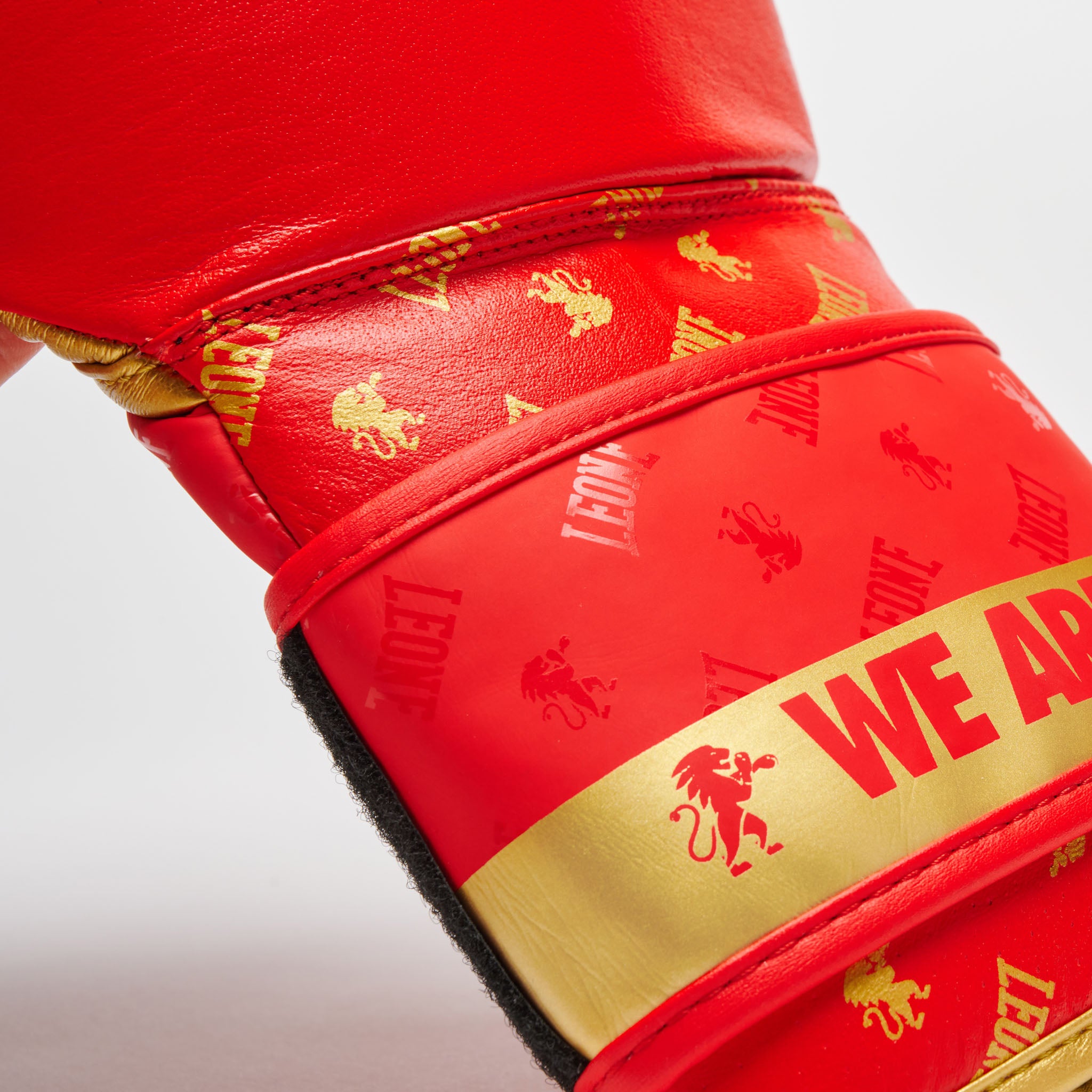 DNA BOXING GLOVES