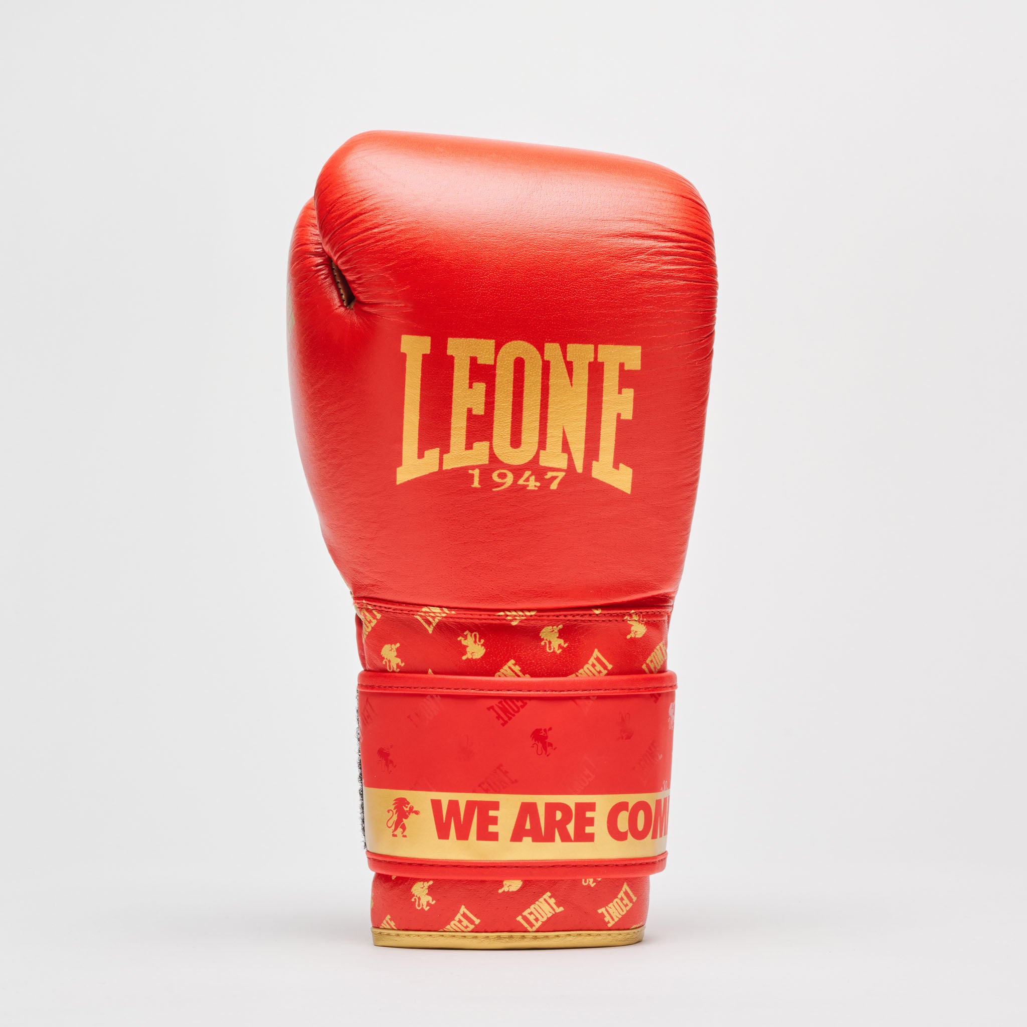 DNA BOXING GLOVES