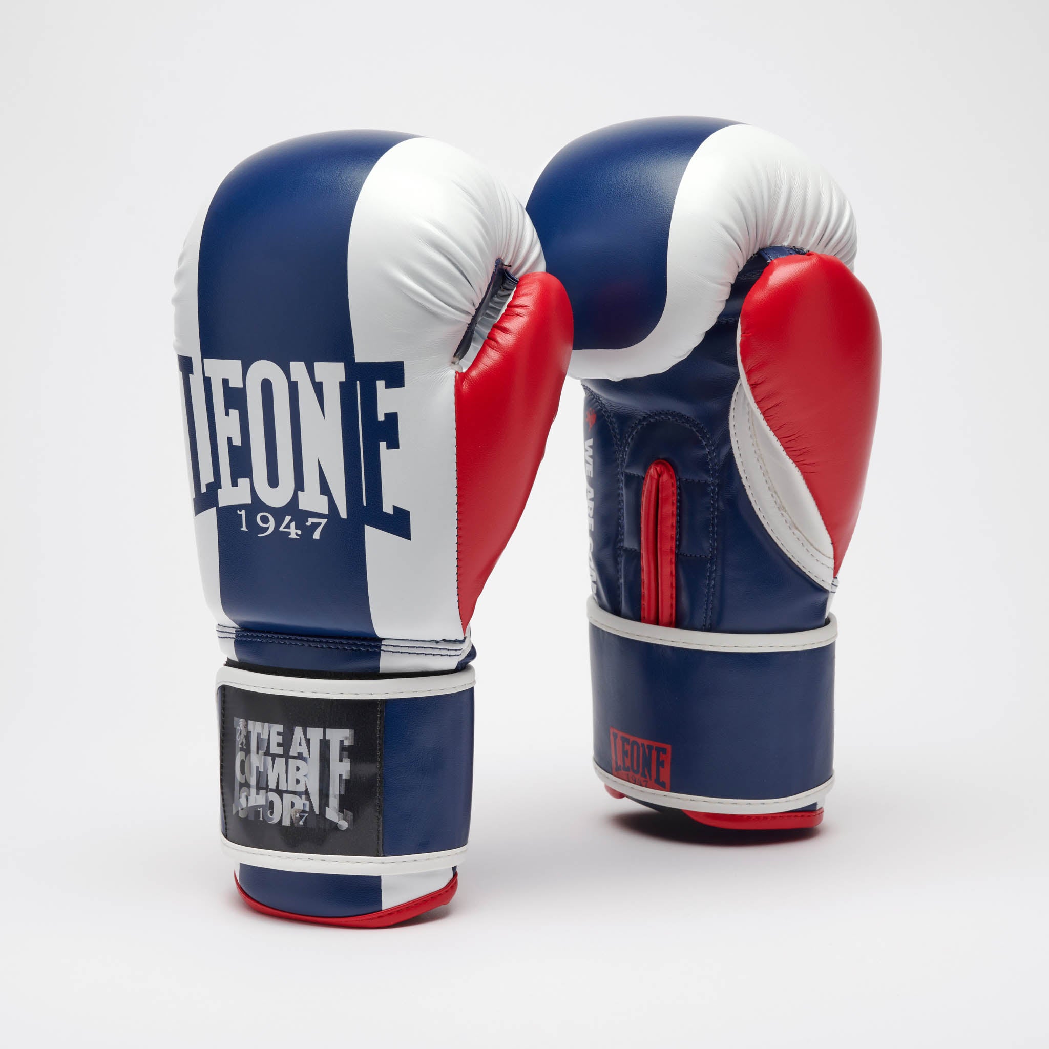 GUANTI BOXE COLOR BLOCK