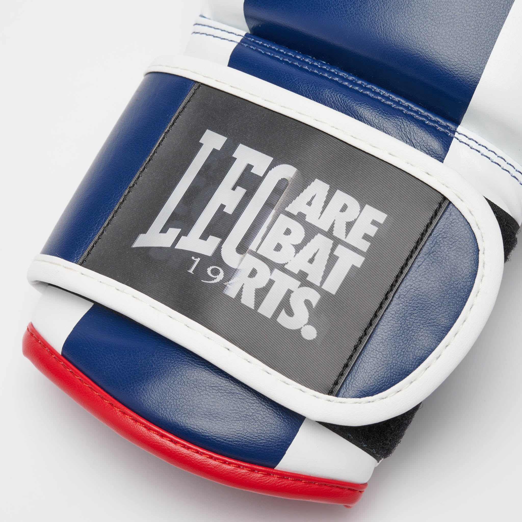 GUANTI BOXE COLOR BLOCK