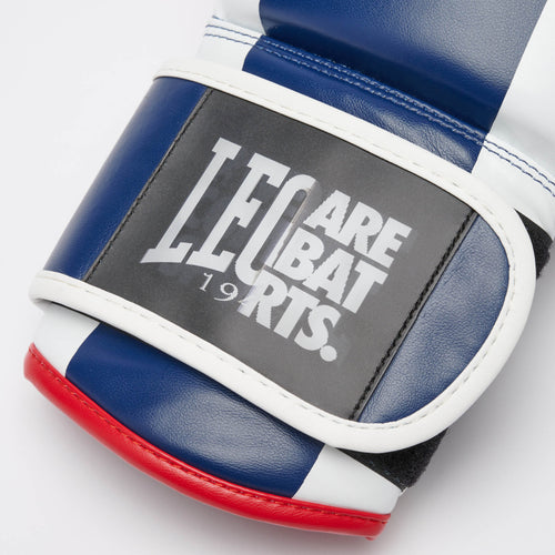 GUANTI BOXE COLOR BLOCK