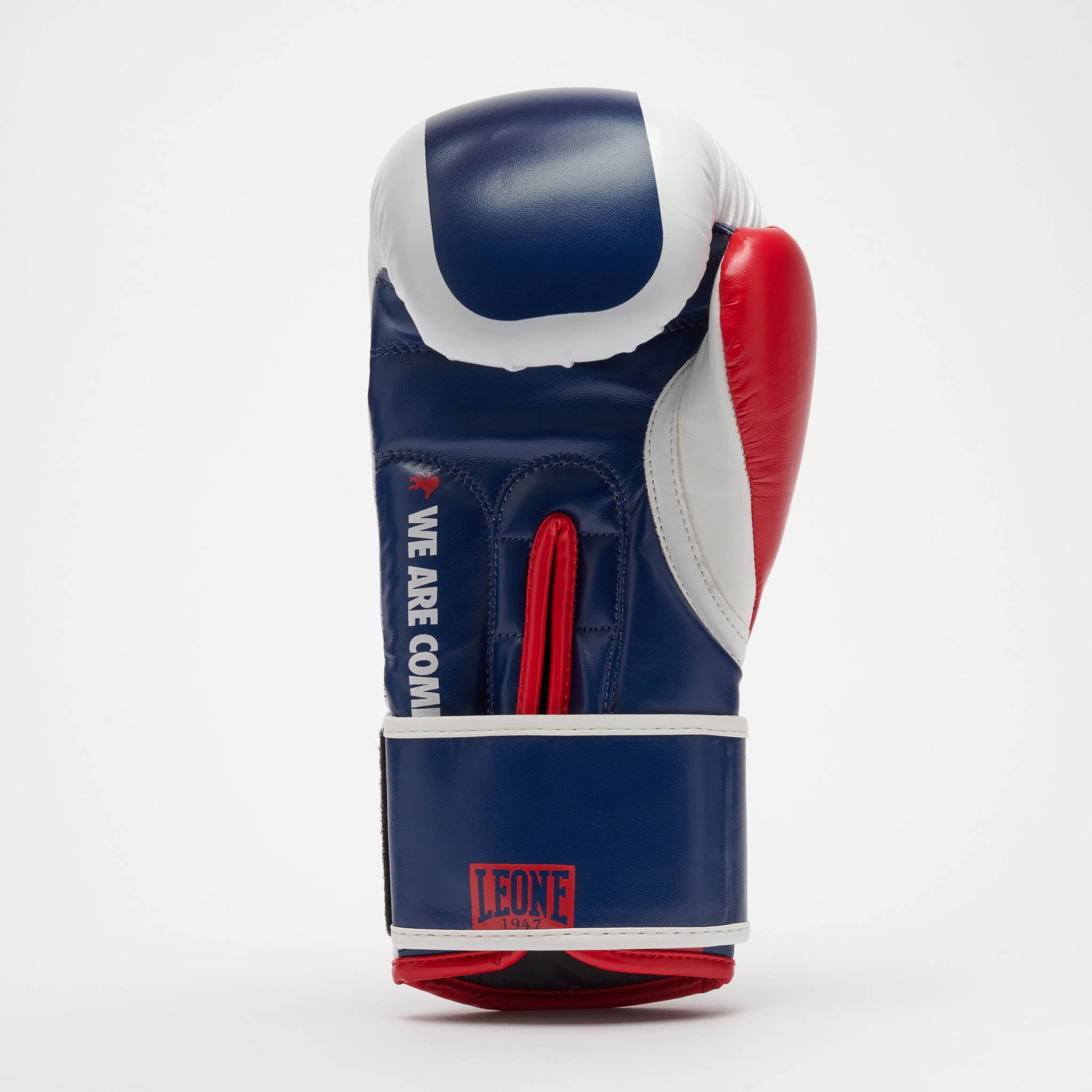 GUANTI BOXE COLOR BLOCK