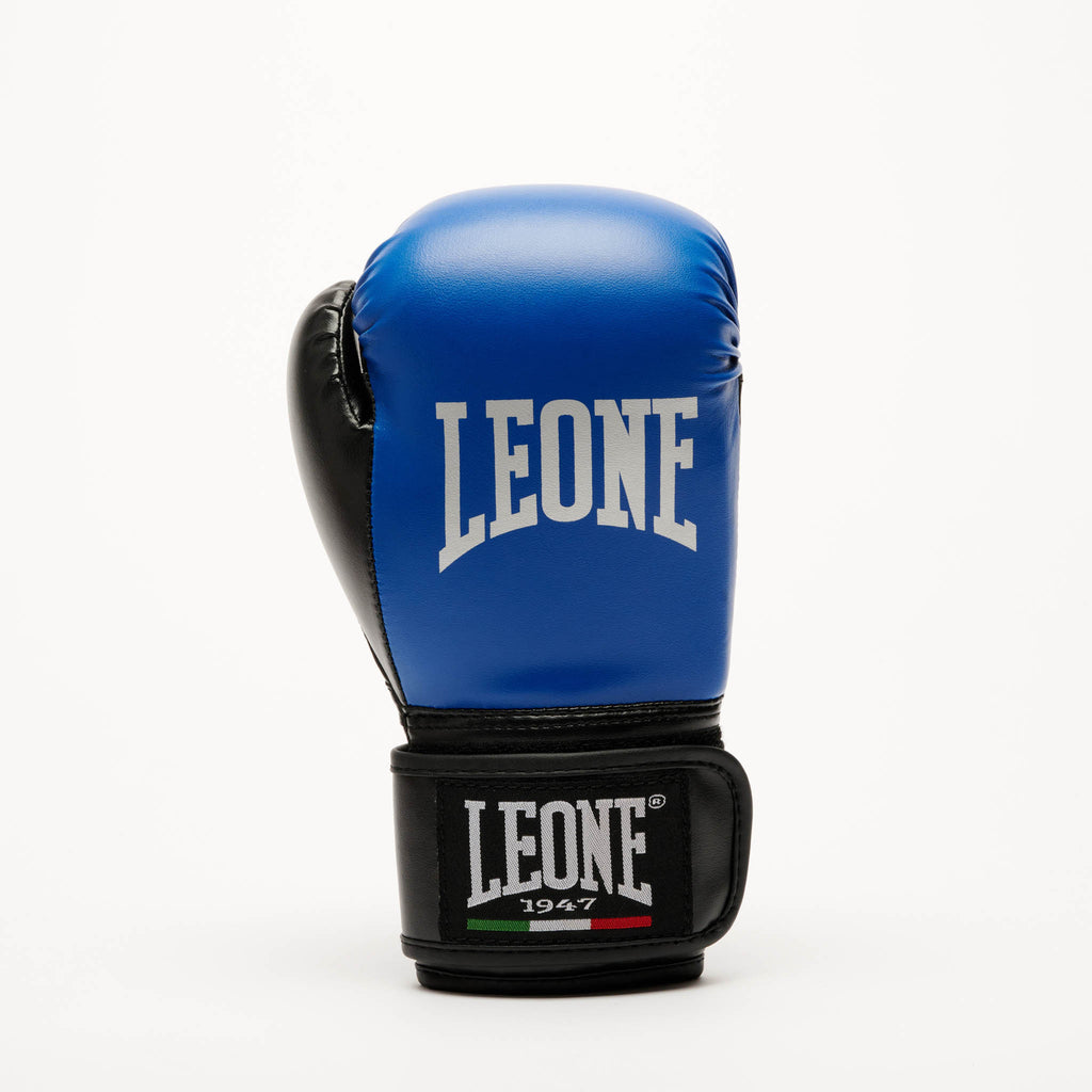 THUNDER BOXING GLOVES