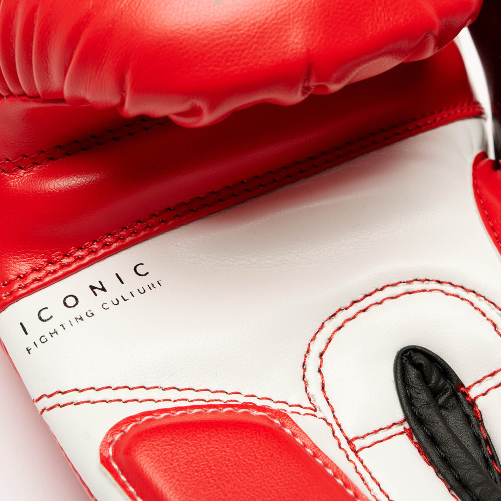GUANTI BOXE ICONIC JUNIOR