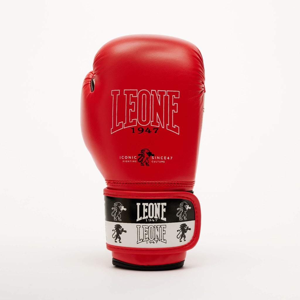 GUANTI BOXE ICONIC JUNIOR