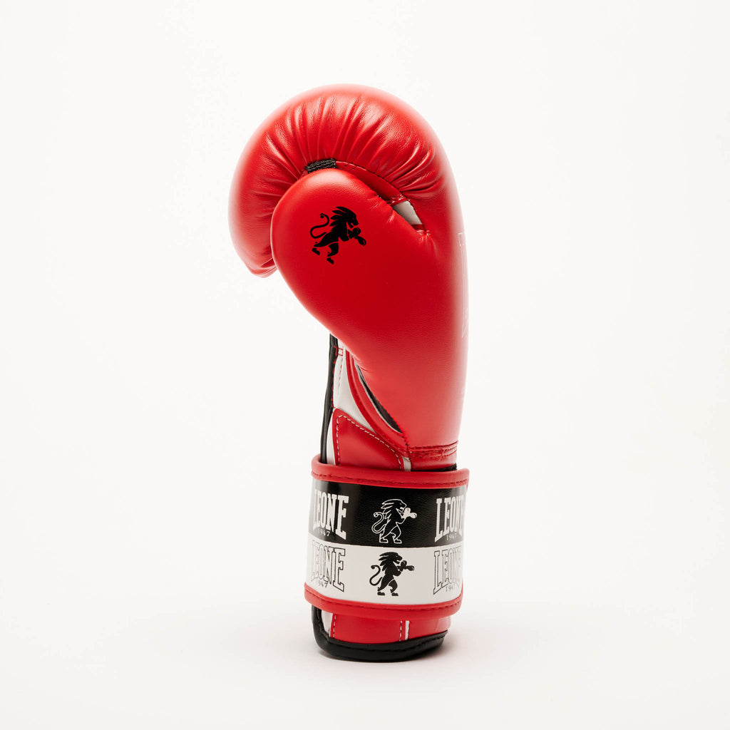 GUANTI BOXE ICONIC JUNIOR