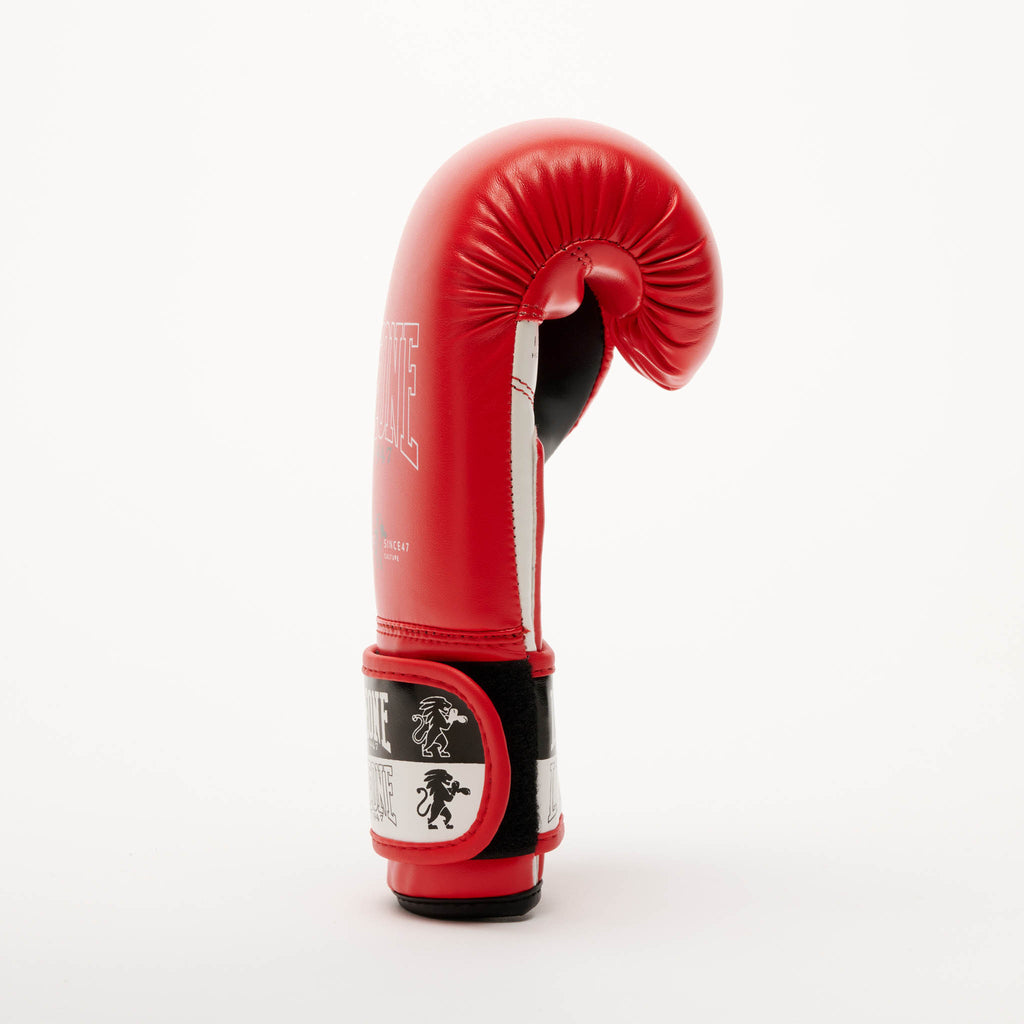 GUANTI BOXE ICONIC JUNIOR