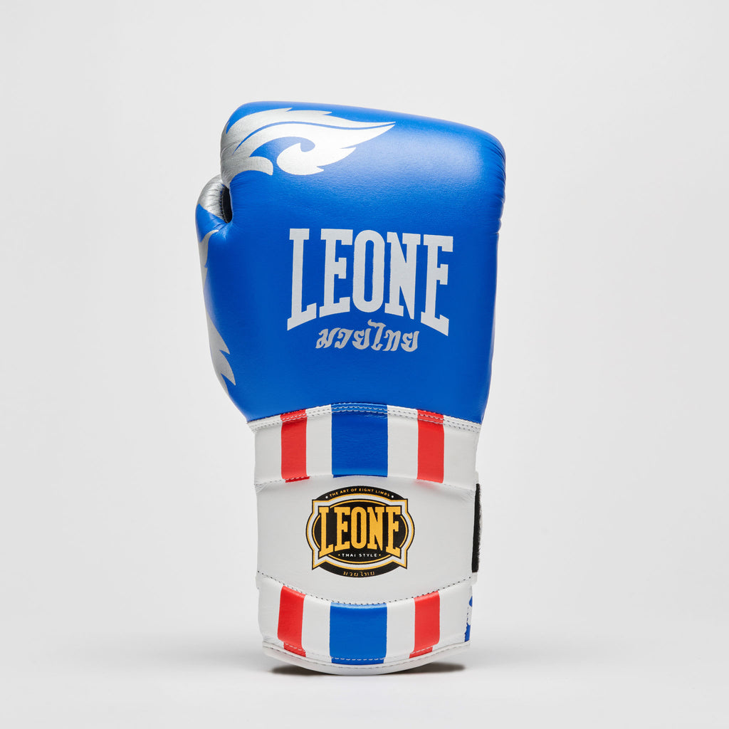 GUANTI BOXE THAI STYLE