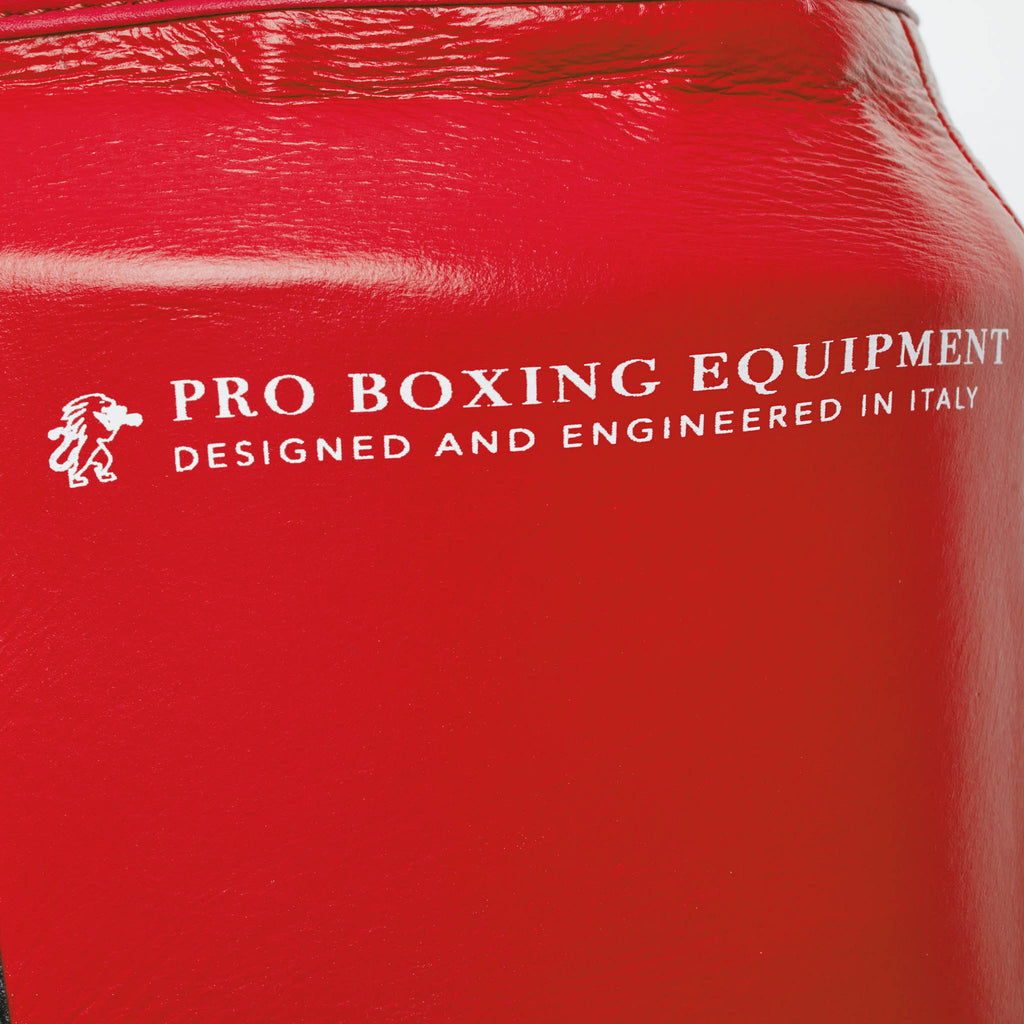 THE GREATEST BOXING GROIN GUARD