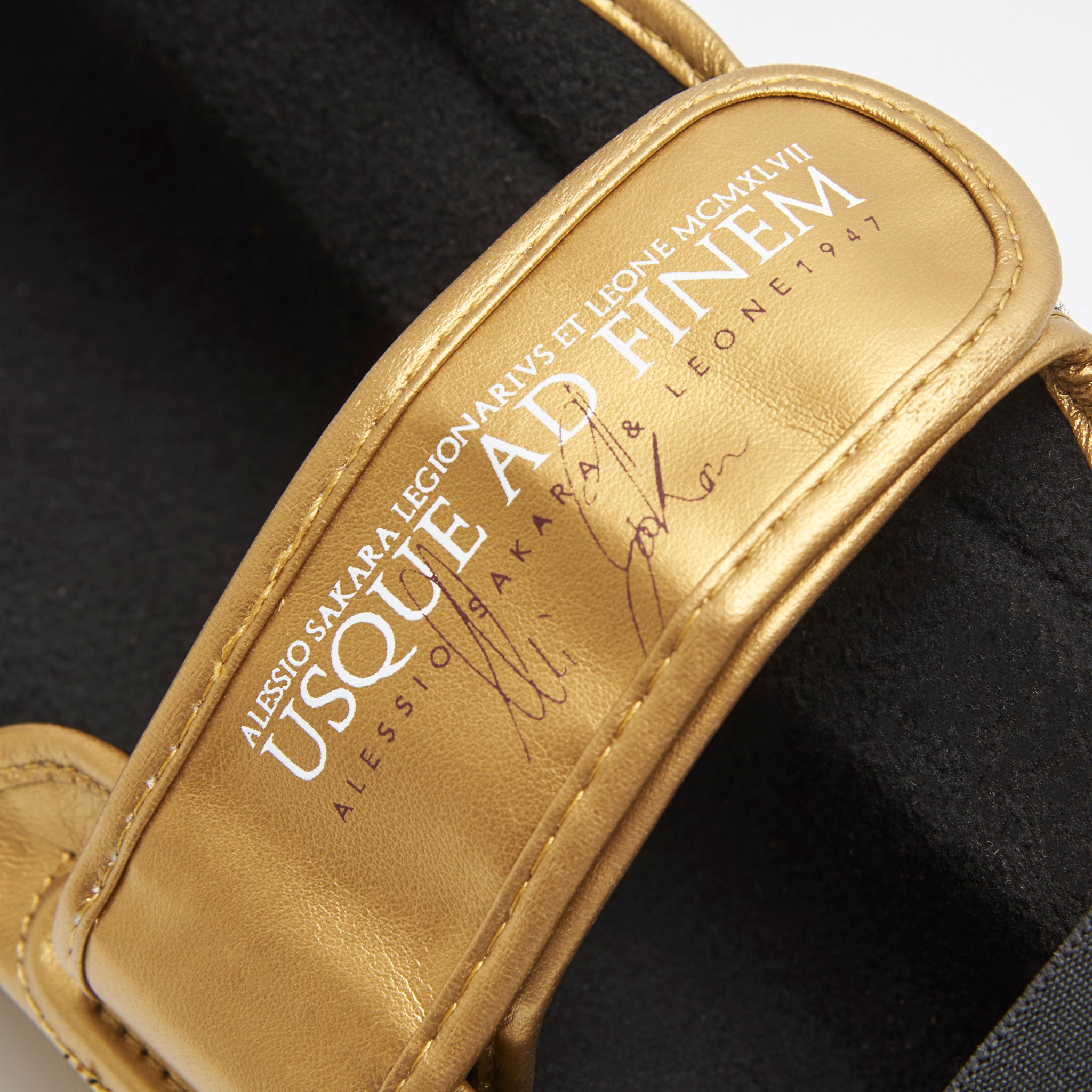 LEGIONARY SHIN GUARDS